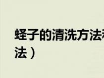 蛏子的清洗方法和做法 海边（蛏子的清洗方法）