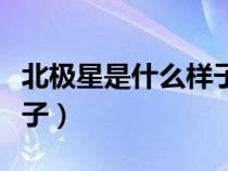 北极星是什么样子的、视频（北极星是什么样子）