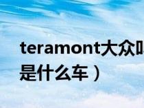 teramont大众叫什么（大众字母teramont是什么车）