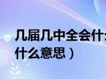 几届几中全会什么意思 几年（几届几中全会什么意思）