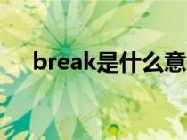 break是什么意思（begin是什么意思）