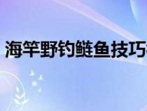 海竿野钓鲢鱼技巧视频（海竿野钓鲢鱼技巧）