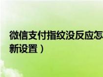 微信支付指纹没反应怎么办（微信支付指纹不能用了怎么重新设置）