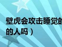 壁虎会攻击睡觉的人吗视频（壁虎会攻击睡觉的人吗）