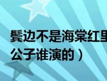 鬓边不是海棠红里谁是攻（鬓边不是海棠红大公子谁演的）