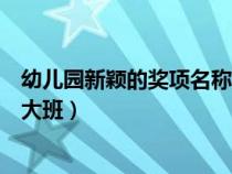 幼儿园新颖的奖项名称大班怎么写（幼儿园新颖的奖项名称大班）