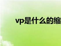 vp是什么的缩写（vp点是什么意思）