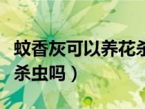 蚊香灰可以养花杀虫吗视频（蚊香灰可以养花杀虫吗）