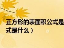 正方形的表面积公式是什么用文字表示（正方形的表面积公式是什么）