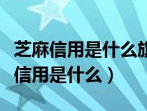 芝麻信用是什么旗下的第三方征信机构（芝麻信用是什么）