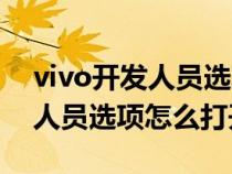 vivo开发人员选项怎么打开华为（vivo开发人员选项怎么打开）