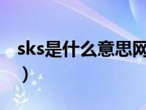 sks是什么意思网络用语（网络用语sk的解释）