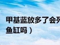 甲基蓝放多了会死鱼吗（甲基蓝可以直接倒入鱼缸吗）