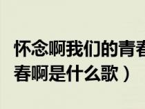 怀念啊我们的青春呀什么歌（怀念啊我们的青春啊是什么歌）