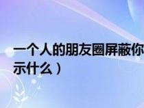 一个人的朋友圈屏蔽你是为什么（一个人朋友圈屏蔽你会显示什么）