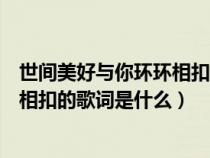 世间美好与你环环相扣的歌词是什么歌（世间美好与你环环相扣的歌词是什么）