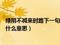 绿阴不减来时路下一句怎么说的呀（绿阴不减来时路指的是什么意思）