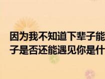 因为我不知道下辈子能否遇见你的歌名（因为我不知道下辈子是否还能遇见你是什么歌）