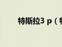 特斯拉3 p（特斯拉3p是什么意思）