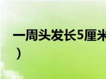 一周头发长5厘米秘诀（头发短怎么快速变长）