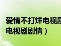 爱情不打烊电视剧剧情分集介绍（爱情不打烊电视剧剧情）