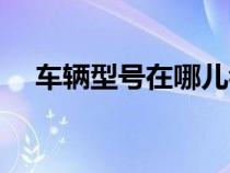 车辆型号在哪儿看（车辆型号如何查看）