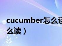 cucumber怎么读音发音英语（cucumber怎么读）