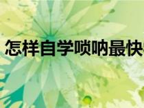 怎样自学唢呐最快学会（怎样自学唢呐最快）