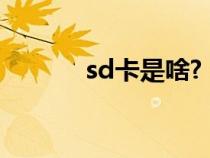 sd卡是啥?（sd卡是什么东西）