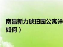 南昌新力琥珀园公寓详情如何样（南昌新力琥珀园公寓详情如何）