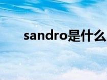 sandro是什么品牌的衣服（sandro）