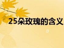 25朵玫瑰的含义（25朵红玫瑰代表什么）