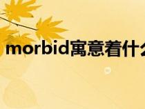 morbid寓意着什么（mojito寓意代表什么）