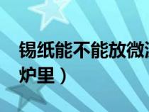 锡纸能不能放微波炉里?（锡纸能不能放微波炉里）