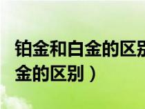 铂金和白金的区别在哪里那个更贵（铂金和白金的区别）