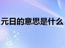 元日的意思是什么 翻译（元日的意思是什么）