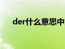 der什么意思中文翻译（der什么意思）