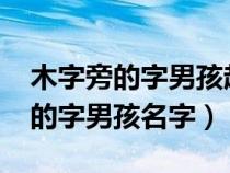 木字旁的字男孩起名字1001无标题（木字旁的字男孩名字）