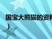 国宝大熊猫的资料100字（国宝大熊猫的资料）