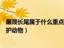 黑颈长尾属于什么重点保护野生动物（黑劲长尾雉是几级保护动物）