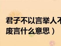 君子不以言举人不以人废言什么意思（不以人废言什么意思）