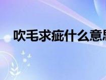 吹毛求疵什么意思?（吹毛求疵什么意思）