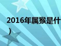 2016年属猴是什么命（1992年属猴是什么命）