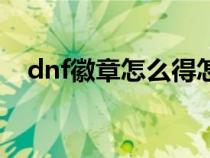 dnf徽章怎么得怎么弄（dnf徽章怎么得）