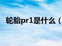 轮胎pr1是什么（轮胎上面的RP什么意思）