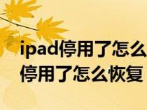 ipad停用了怎么办最简单的方法教程（ipad停用了怎么恢复）