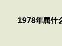 1978年属什么年（1978年属什么）