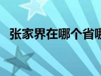 张家界在哪个省哪个市（张家界是哪个省）