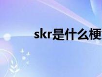 skr是什么梗意思（skr是什么梗）