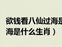 欲钱看八仙过海是什么生肖啊（欲钱看八仙过海是什么生肖）